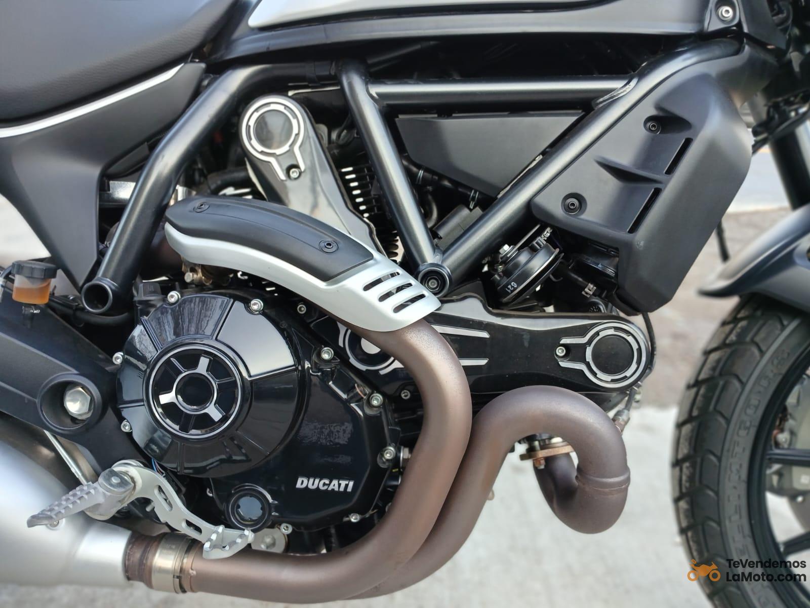 WhatsApp-Image-2024-06-25-at-18.31.14-4